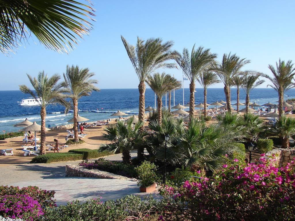 Queen Sharm Aqua Park Hotel Extérieur photo